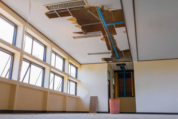 Best 24/7 water damage repair  in Edgewood, PA