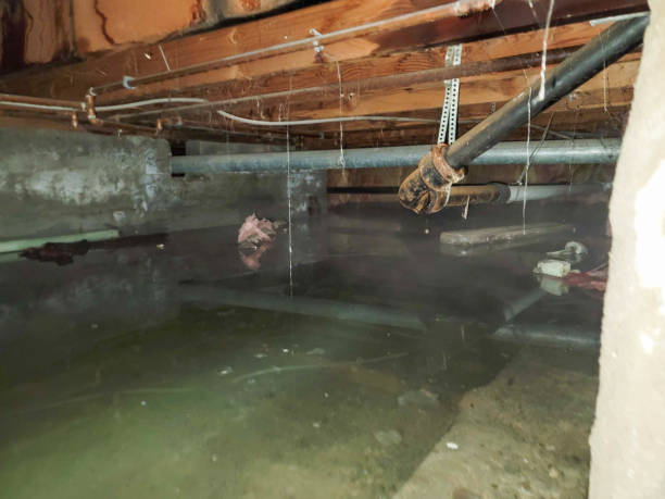  Edgewood, PA Water damage restoration Pros