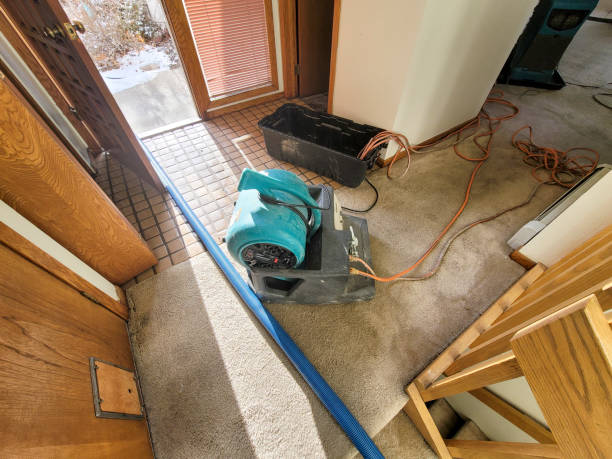 Best Basement water damage restoration  in Edgewood, PA