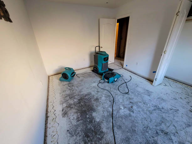 Water damage restoration insurance claims in Edgewood, PA