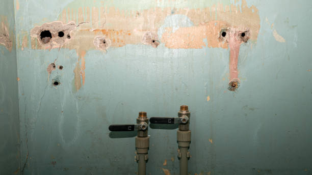 Best Water damage restoration near me  in Edgewood, PA