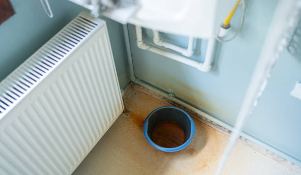Best Water damage restoration insurance claims  in Edgewood, PA