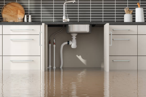 Sewage cleanup and water damage restoration in Edgewood, PA