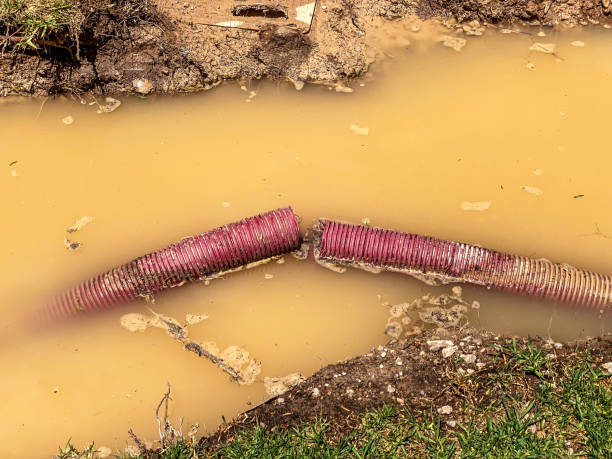 Best Flood restoration services  in Edgewood, PA