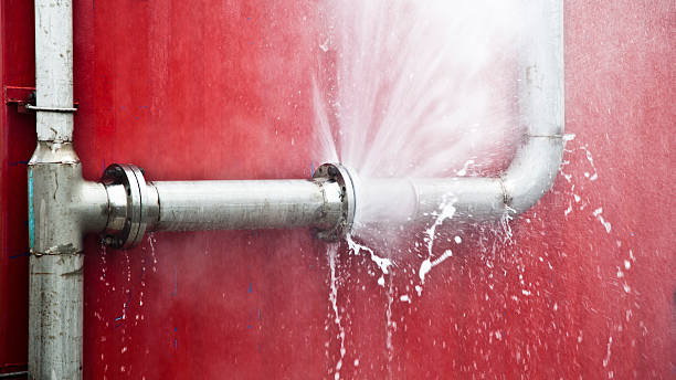 Best Flooded house restoration  in Edgewood, PA