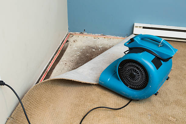Best Fire Damage Restoration  in Edgewood, PA